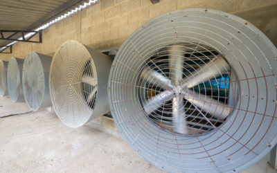 Things you should know about Industrial Exhaust Fans