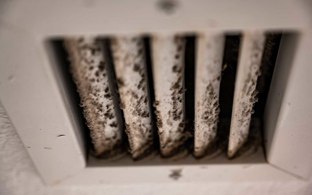featuredimage-The-Importance-of-Home-Duct-Cleaning