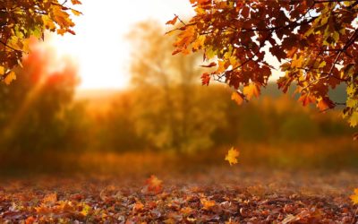 Time for a Fall HVAC Checklist: Ready Your System for Cooler Days