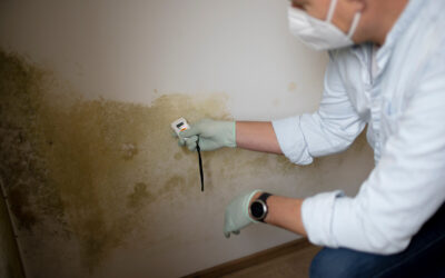 Help with Water and Mold Damage in Kelowna | A-1 Heating & Air Conditioning