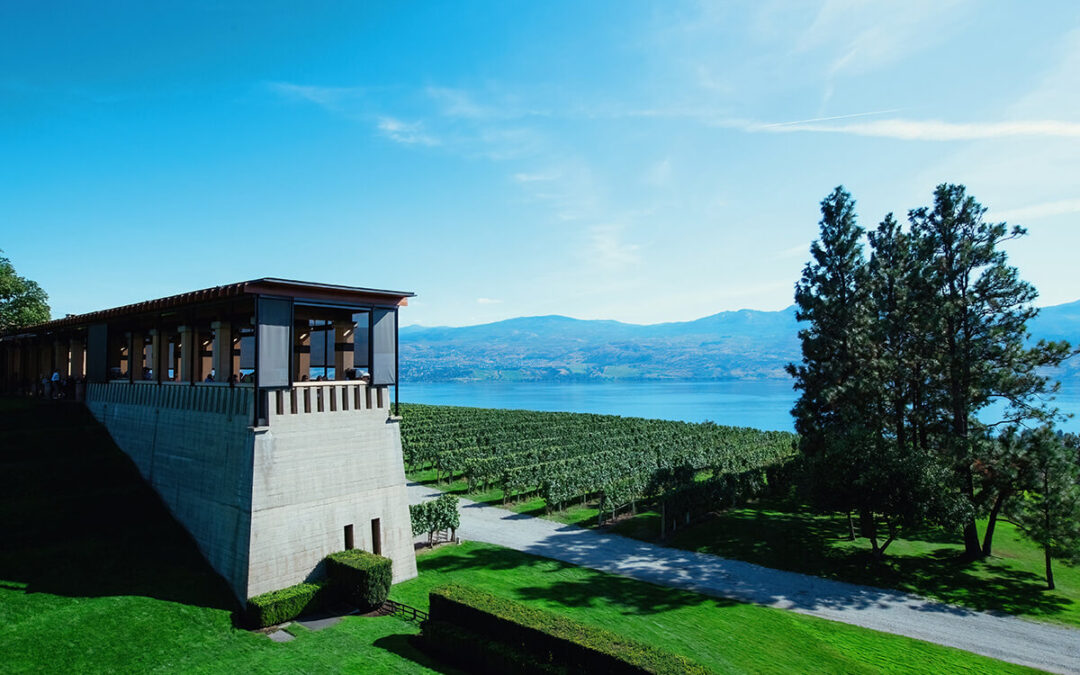 Mission Hill winery